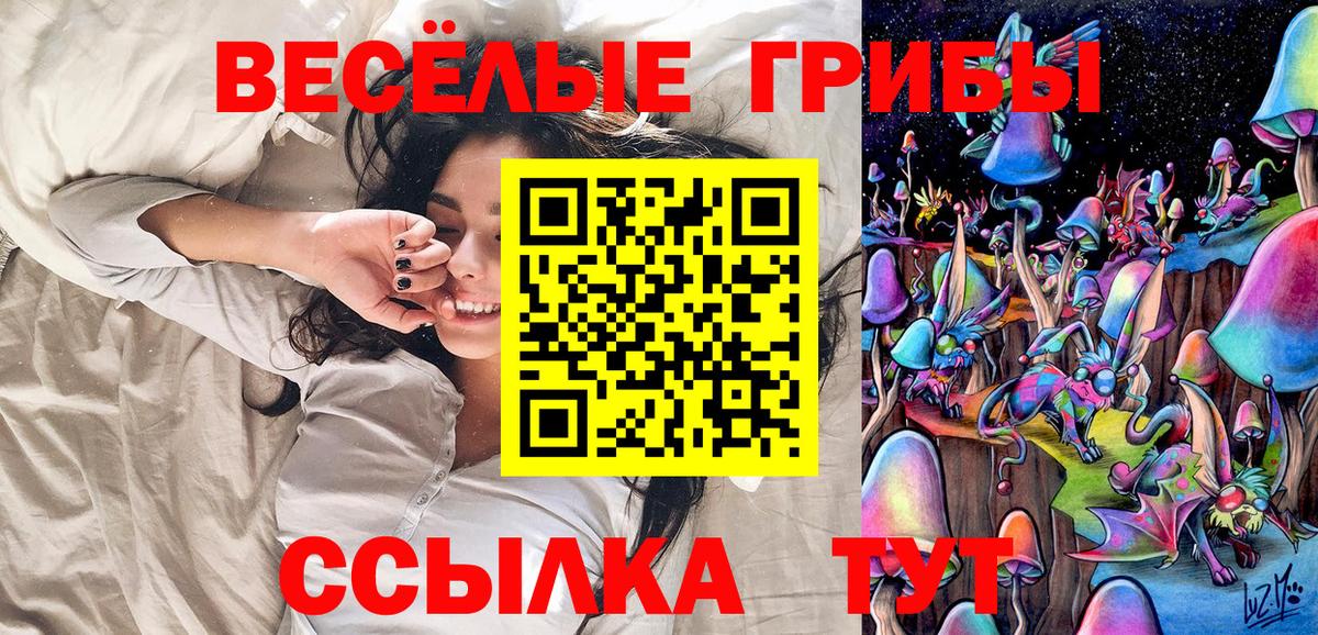 Дзержинск  Псилоцибиновые грибы Psilocybine cubensis  Вход с VPN 
