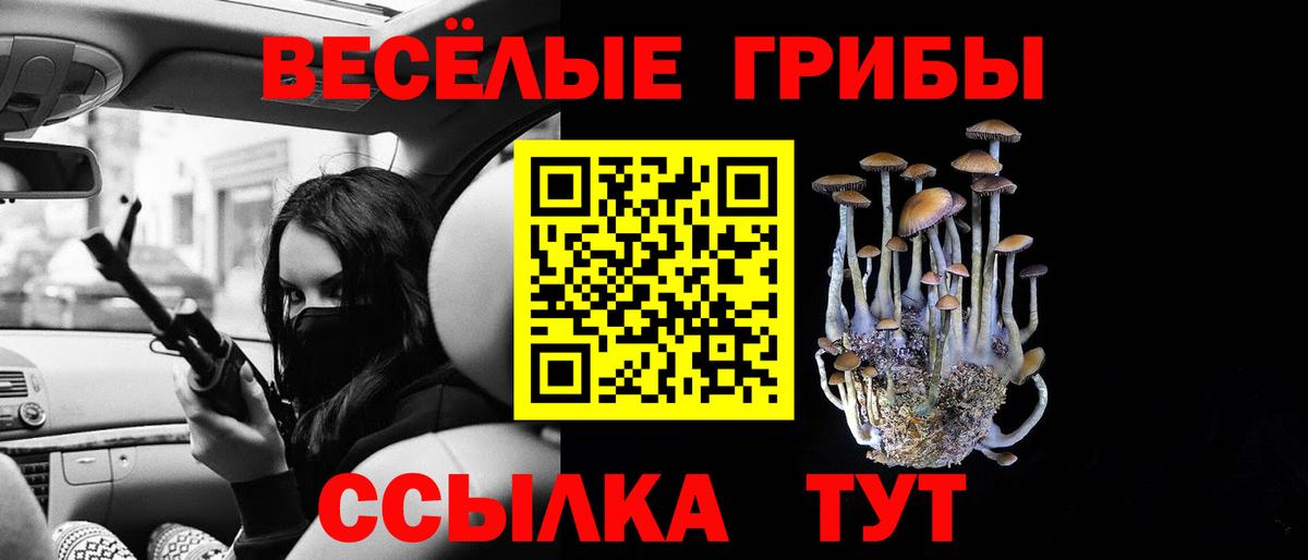 Галлюциногенные грибы GOLDEN TEACHER Дзержинск